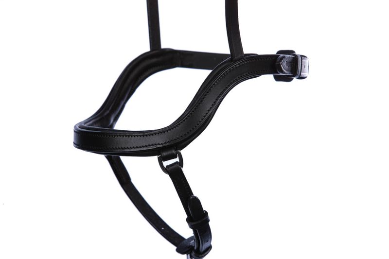 Eques Singula  Ergonomisk Fusionsnesereim