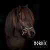 Nordic Horse 