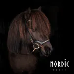Nordic Horse 