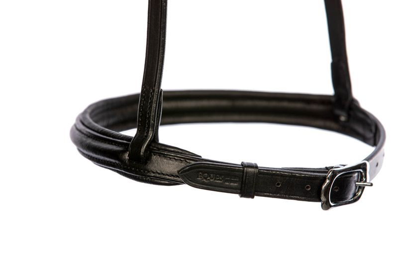 Eques Singula  Engelsk Nesereim 